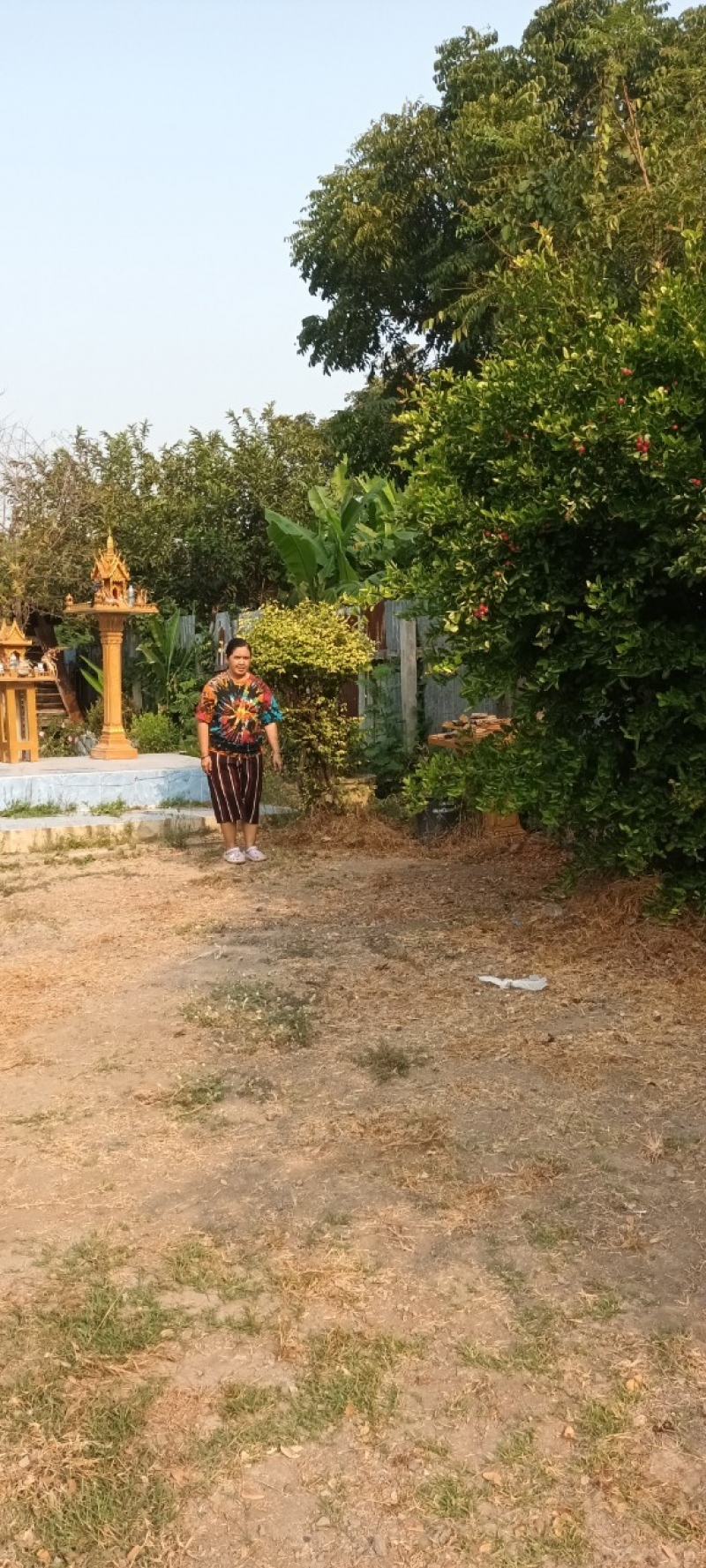 รูปภาพเพิ่มเติม