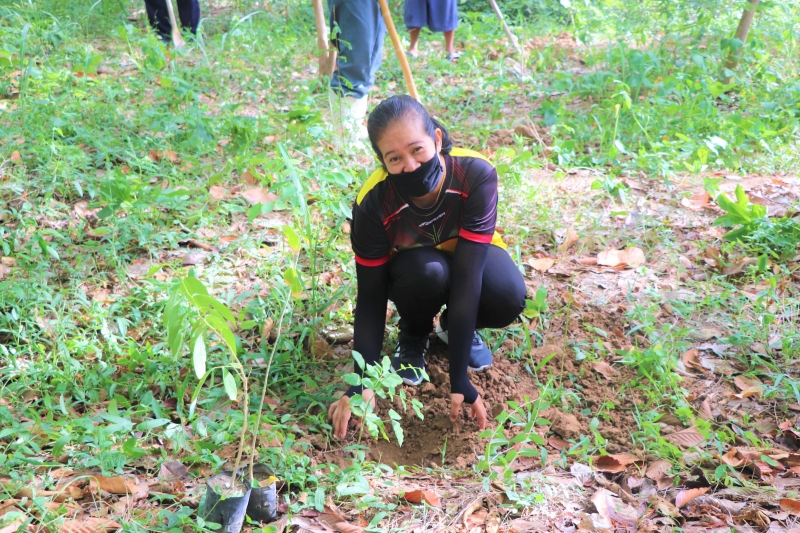 รูปภาพเพิ่มเติม
